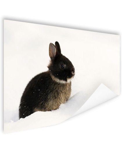 Konijn in de sneeuw Poster 120x80 cm - Foto print op Poster (wanddecoratie)