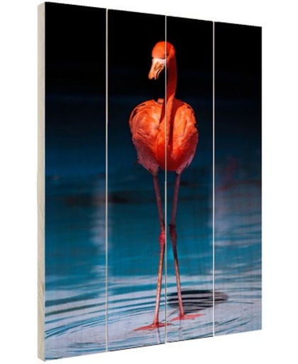 Flamingo donkere achtergrond Hout 80x120 cm - Foto print op Hout (Wanddecoratie)