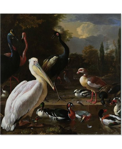 Canvas Schilderij Pelikaan en ander gevogelte bij een waterbassin ‘Het drijvend veertje’ van Melchior d' Hondecoeter Rijksmuseum Vintage Vogels 100x100 cm