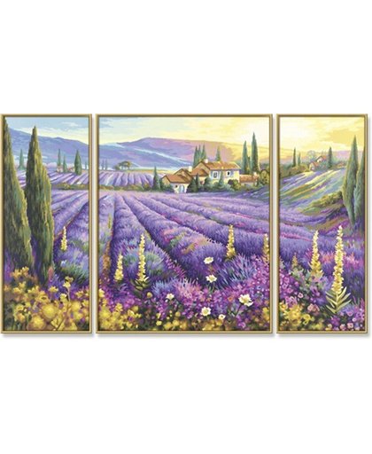 Schipper Malen nach Zahlen - Lavendelfelder (Triptychon)