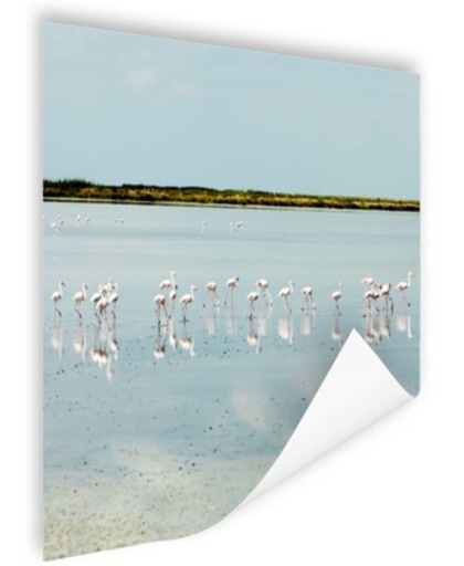Moderne foto met flamingos Poster 50x50 cm - Foto print op Poster (wanddecoratie)