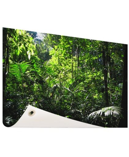 Regenwoud Brazilie  Tuinposter 200x100 cm - Foto op Tuinposter (tuin decoratie)