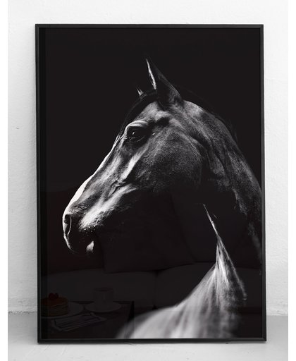 Poster paard zwart wit
