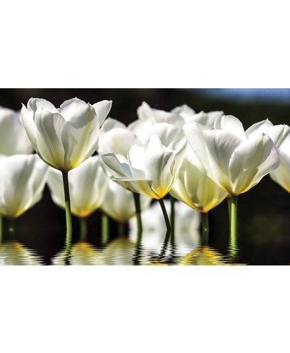 Fotobehang Flowers Poppies | M - 104cm x 70.5cm | 130g/m2 Vlies