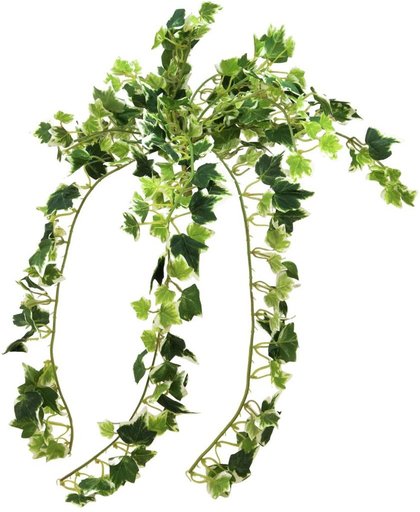 Europalms kunstplant - Holland Ivy struik - 50 cm