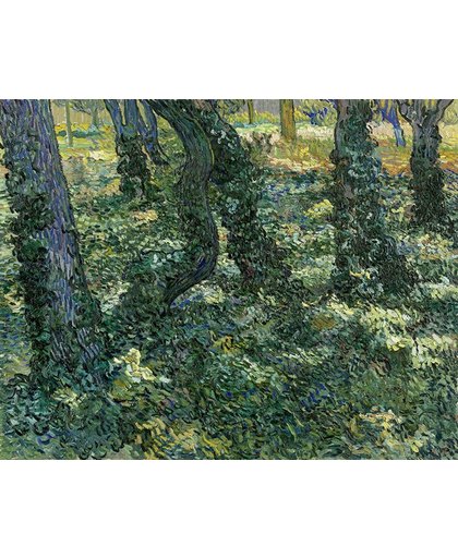 Vincent van Gogh - Kreupelhout - 35x45cm Canvas Giclée