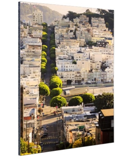 Heuvels van San Francisco Aluminium 40x60 cm - Foto print op Aluminium (metaal wanddecoratie)