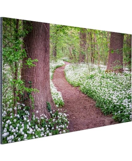 Pad in een bos met wilde knoflook Aluminium 30x20 cm - Foto print op Aluminium (metaal wanddecoratie)