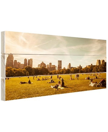 Central Park zonnig Hout 120x80 cm - Foto print op Hout (Wanddecoratie)