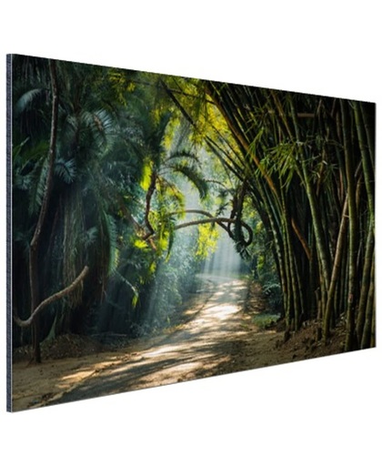 Rijen bamboe in Azie Aluminium 60x40 cm - Foto print op Aluminium (metaal wanddecoratie)