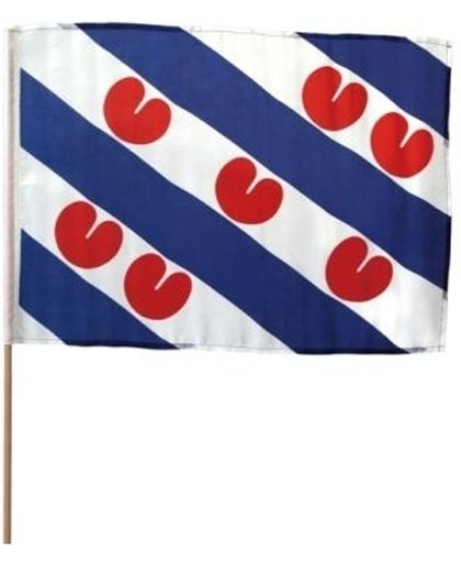 10x Extra grote zwaaivlaggen Friesland - zwaaivlaggetjes