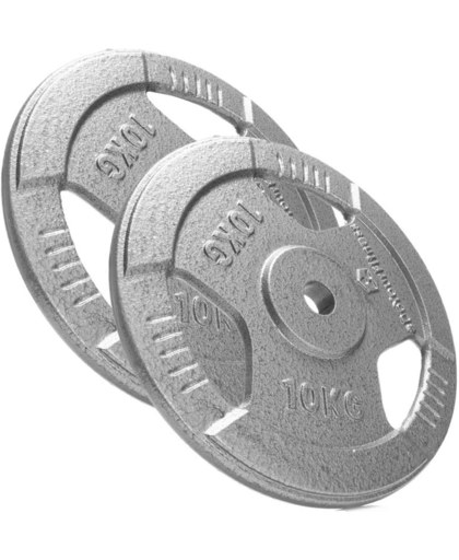 #DoYourFitness - Haltergewichten - »SilverLine« - 100% gietijzer gewichtsschijven 30/31 mm boring - Diameter 341mm / 25,5mm dikte - zilver