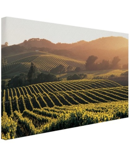 Wijngaarden in de Verenigde Staten Canvas 120x80 cm - Foto print op Canvas schilderij (Wanddecoratie)