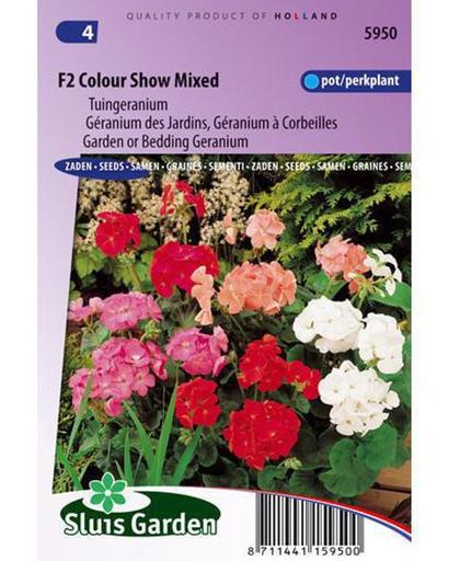 Sluis Garden Tuingeranium F2 Colour Show Mix