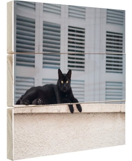 Zwarte kat aan het rusten Hout 60x40 cm - Foto print op Hout (Wanddecoratie)