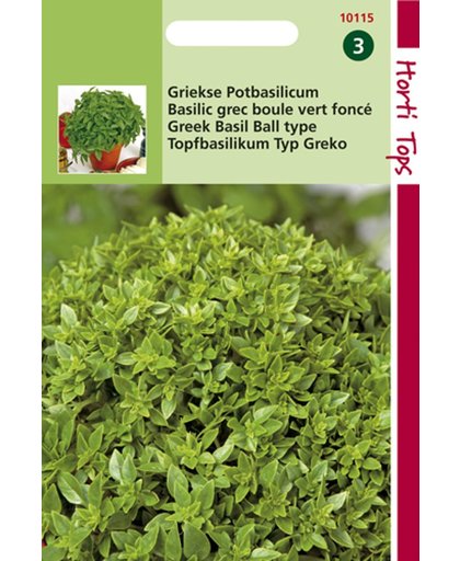 Hortitops Zaden - Pot-Basilicum Bascuro - Donkergroene