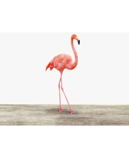 Flamingo - Print op Vurenhout - 30x30 cm