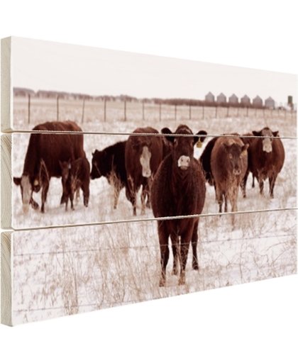 Kudde koeien in een sneeuwveld Hout 60x40 cm - Foto print op Hout (Wanddecoratie)