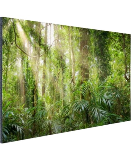 Licht in het woud Aluminium 60x40 cm - Foto print op Aluminium (metaal wanddecoratie)
