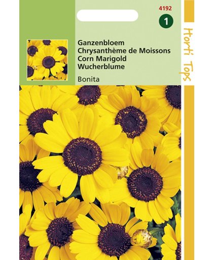 Hortitops Zaden - Chrysanthemum Segetum Eldorado Geel