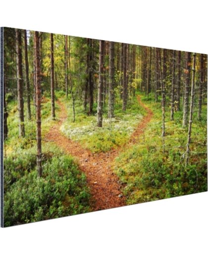 Een kruispunt in het bos Aluminium 120x80 cm - Foto print op Aluminium (metaal wanddecoratie)