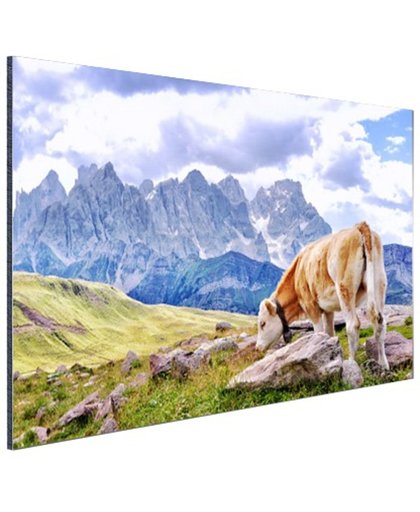 Koeien grazen alpenweide Aluminium 120x80 cm - Foto print op Aluminium (metaal wanddecoratie)