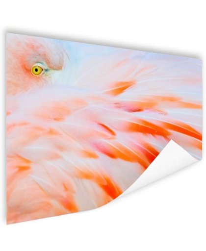 Zachtroze flamingo veren Poster 90x60 cm - Foto print op Poster (wanddecoratie)