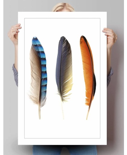 REINDERS Feathers II - Poster - 61x91,5cm