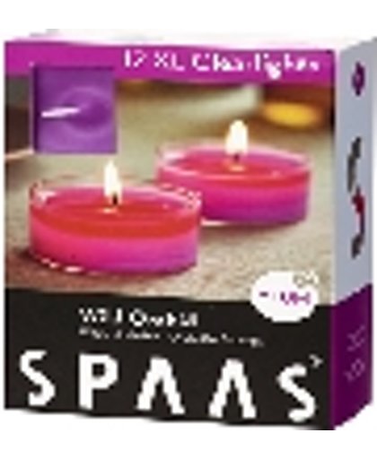 Spaas 24 Clearlights Wild Orchid