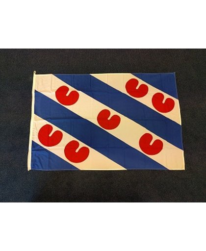 Friese vlag 100 x 150cm