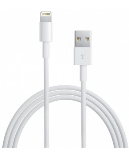 Techly Lightning USB2.0 Cable to 8p 3m White ICOC APP-8WH3TY mobiele telefoonkabel USB A Wit