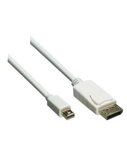 DINIC 2m, Mini DisplayPort - DisplayPort 2m DisplayPort Mini DisplayPort Wit