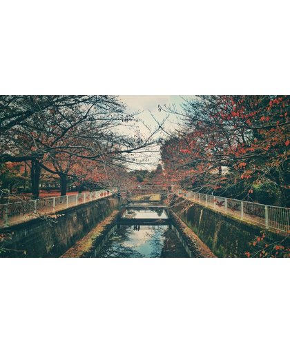 Tokio Behang | Kleine rivier tegenover Tokio | 445 x 250 cm | Extra Sterk Vinyl Behang
