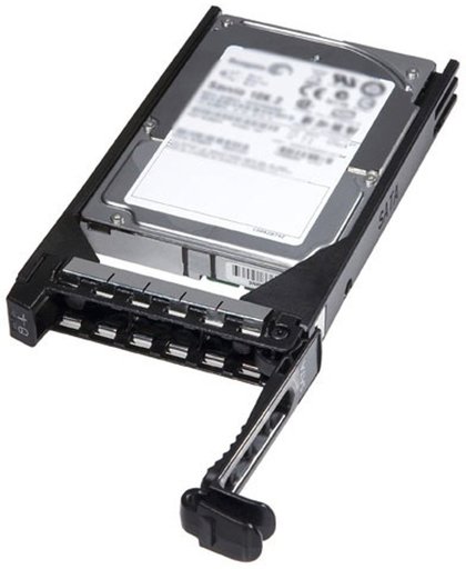 DELL 400-21619 HDD 300GB SAS interne harde schijf
