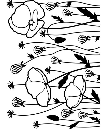 Darice Embossing Folder - Embossing Sjabloon - Veld met Klaprozen - 10,8 x 14,6 cm