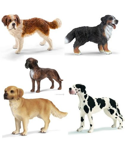 Schleich Dieren Set - 5 Honden - Berner Senner, Dalmatiër, Golden Retriever, Boxer en Sint Bernard