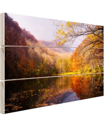 De typische herfstachtige natuur Hout 30x20 cm - Foto print op Hout (Wanddecoratie)