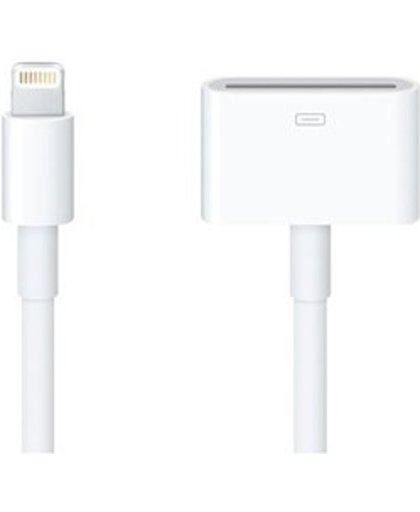 Lightning naar 30-pin Adapter (0.3m Kabel) voor Apple Producten