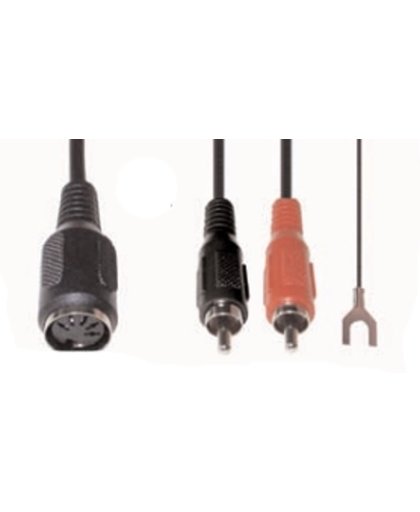 e+p B 22 0.2m 2 x RCA 5-pin DIN Zwart audio kabel