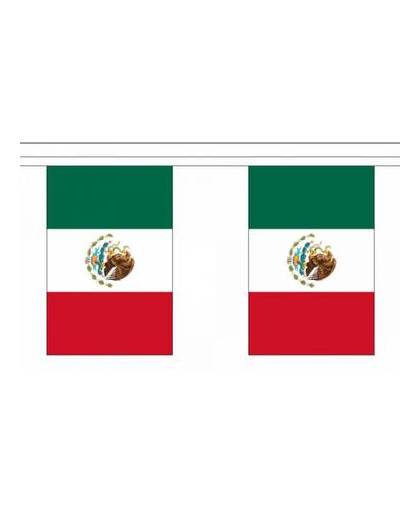 Luxe mexico vlaggenlijn 9 m