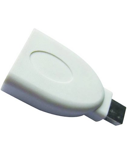 Sandberg Adapter DisplayPort-Mini DP