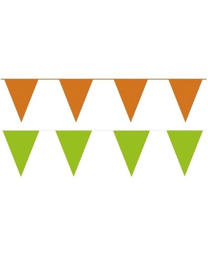 Oranje/Groene feest punt vlaggetjes pakket - 60 meter - slingers / vlaggenlijn