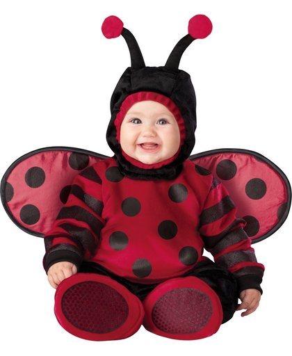 Lieveheersbeestje kostuum voor baby's - Premium - Verkleedkleding