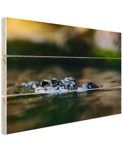 Krokodil aan de oppervlakte Hout 80x60 cm - Foto print op Hout (Wanddecoratie)