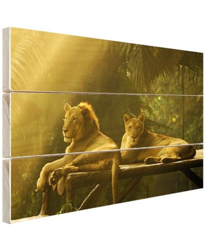 Leeuwen in de jungle Hout 160x120 cm - Foto print op Hout (Wanddecoratie)