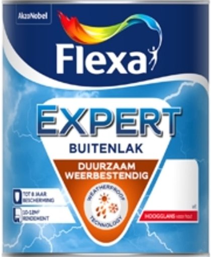 FLEXA EXPERT BUITENLAK DEKKEND HOOGGLANS RAL 9010 750ML