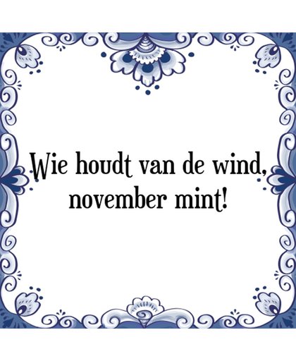 Tegeltje met Spreuk (Tegeltjeswijsheid): Wie houdt van de wind, november mint! + Kado verpakking & Plakhanger