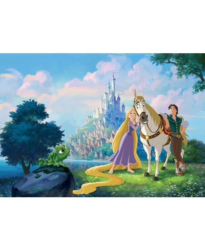 Fotobehang Vlies | Disney, Rapunzel | Blauw | 368x254cm (bxh)