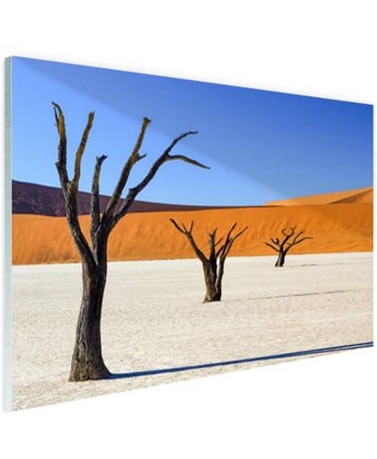 Boompjes in woestijn Glas 60x40 cm - Foto print op Glas (Plexiglas wanddecoratie)