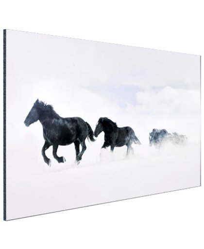 Zwarte paarden in de sneeuw Aluminium 90x60 cm - Foto print op Aluminium (metaal wanddecoratie)